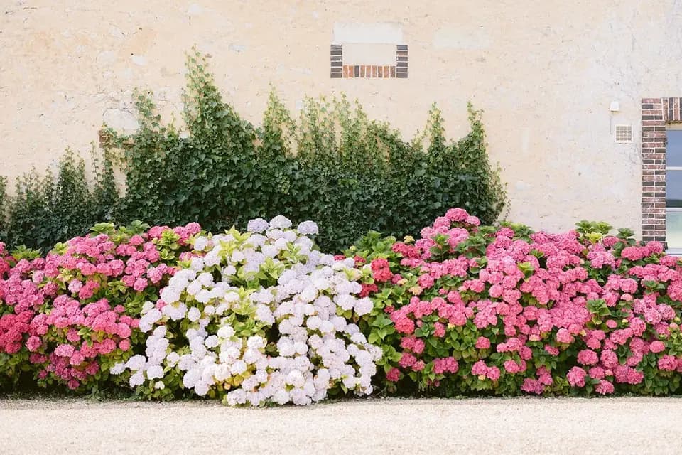 Domaine de la Revardiere — photo 8