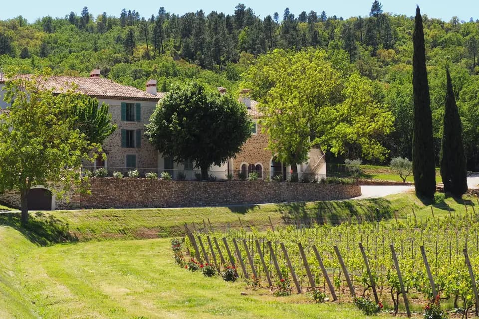 Château Maïme — photo 1