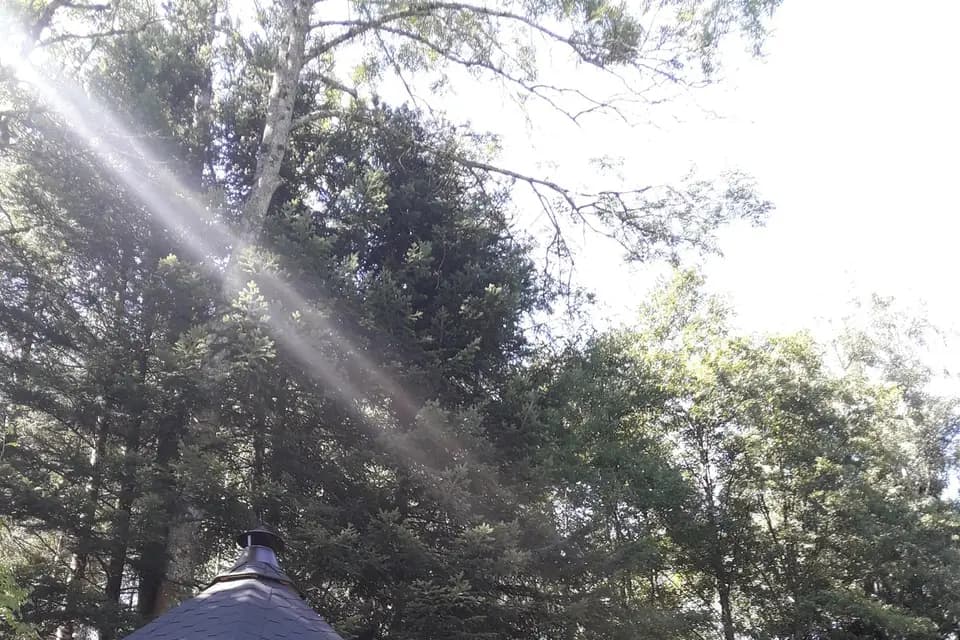 Le Domaine des 4 saisons — photo 7