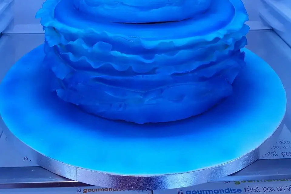 Lu Divine Cake Designer — photo 5