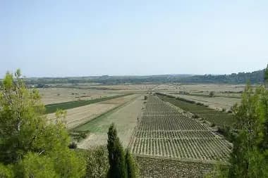 La Tour de Montady — photo 6