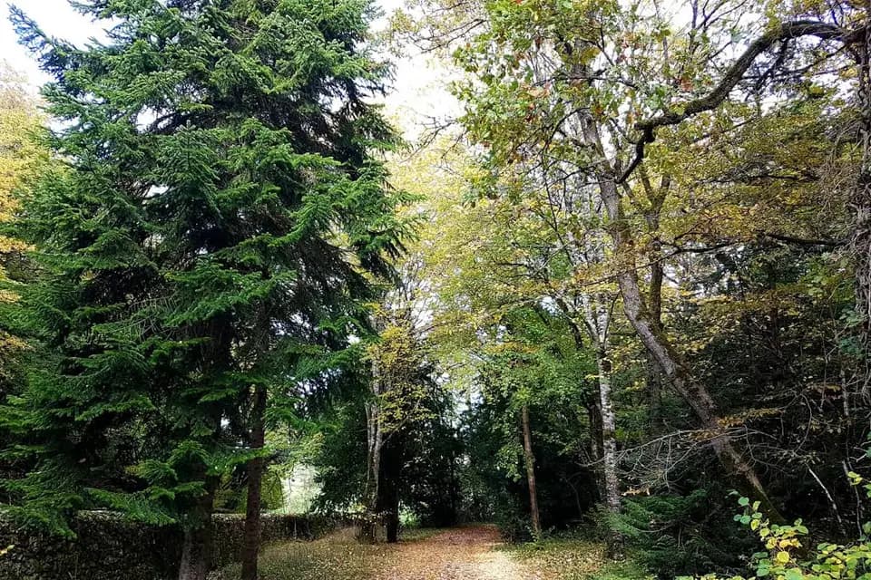 Domaine de Puygiraud — photo 6