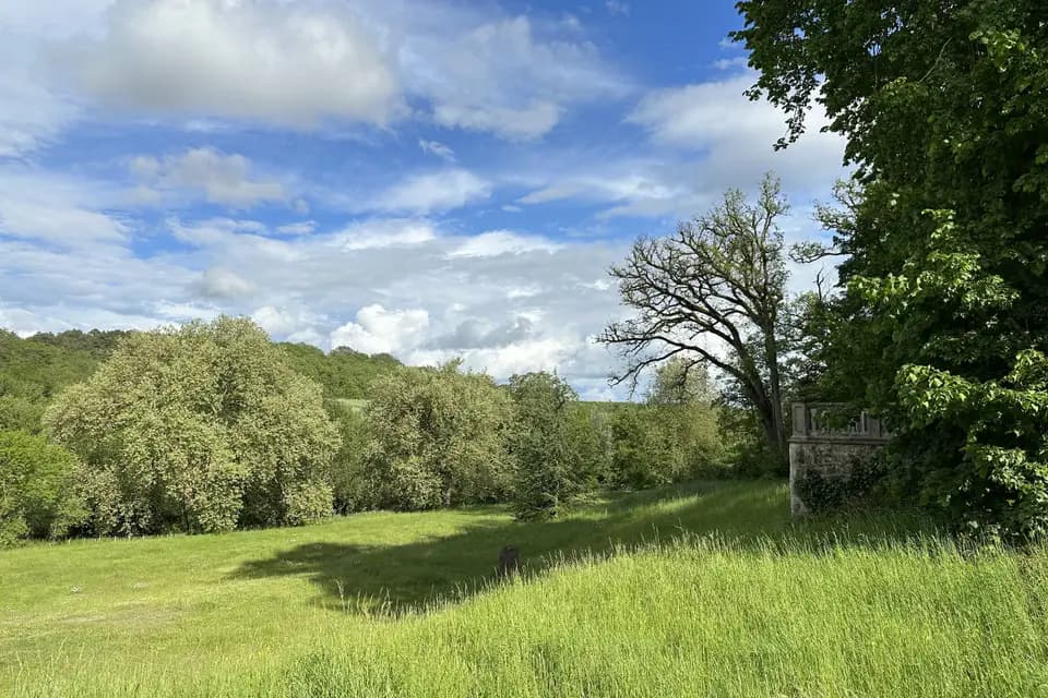 Domaine de Puygiraud — photo 5