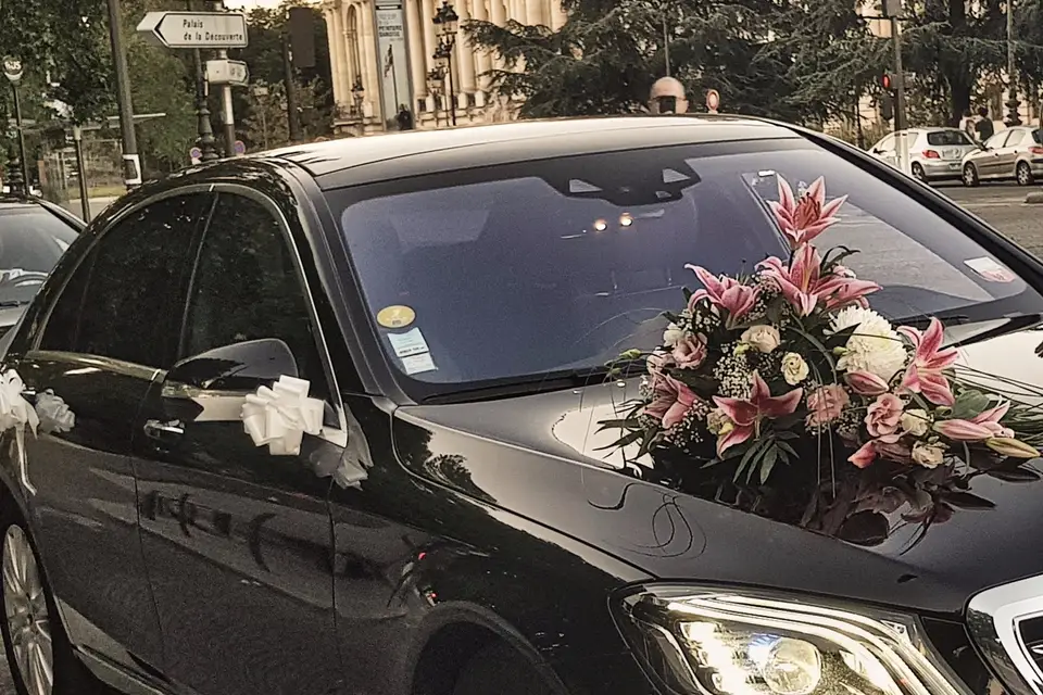 HVR Transport — photo 3