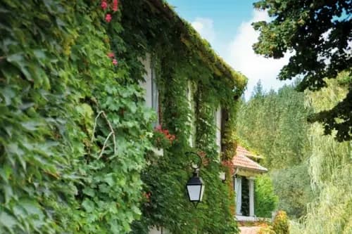 Le Moulin de Poincy — photo 5