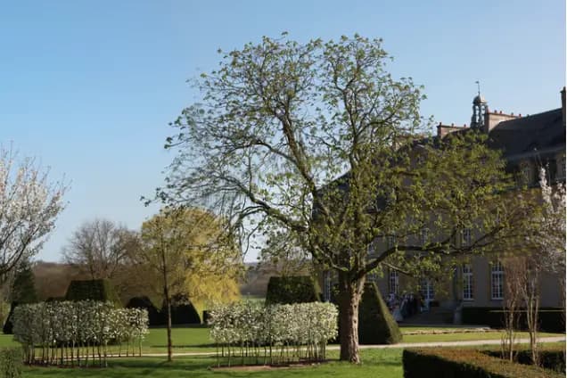 Château de Pange — photo 3