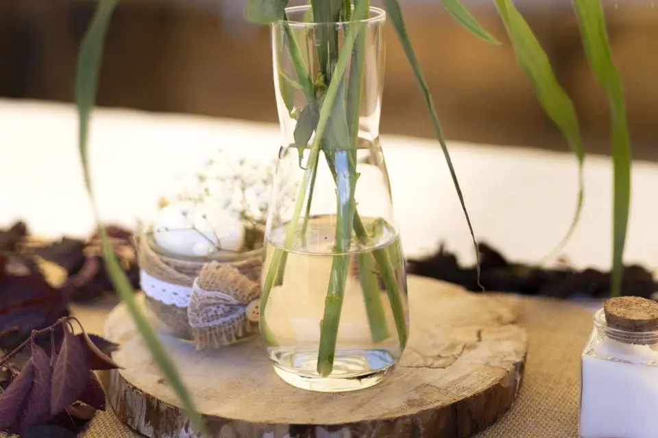 Estelle Espero — photo 5