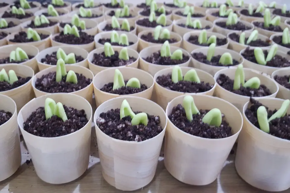 Instants Gourmands — photo 4