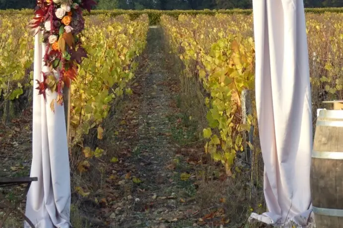 Tésy Even't — photo 6