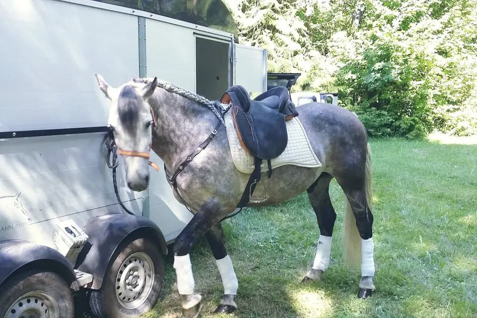 Equi Event — photo 7