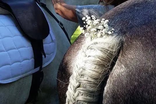 Equi Event — photo 2