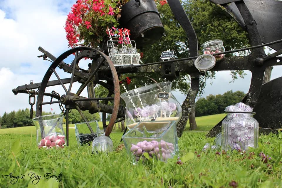 Amy's Day Events — photo 6