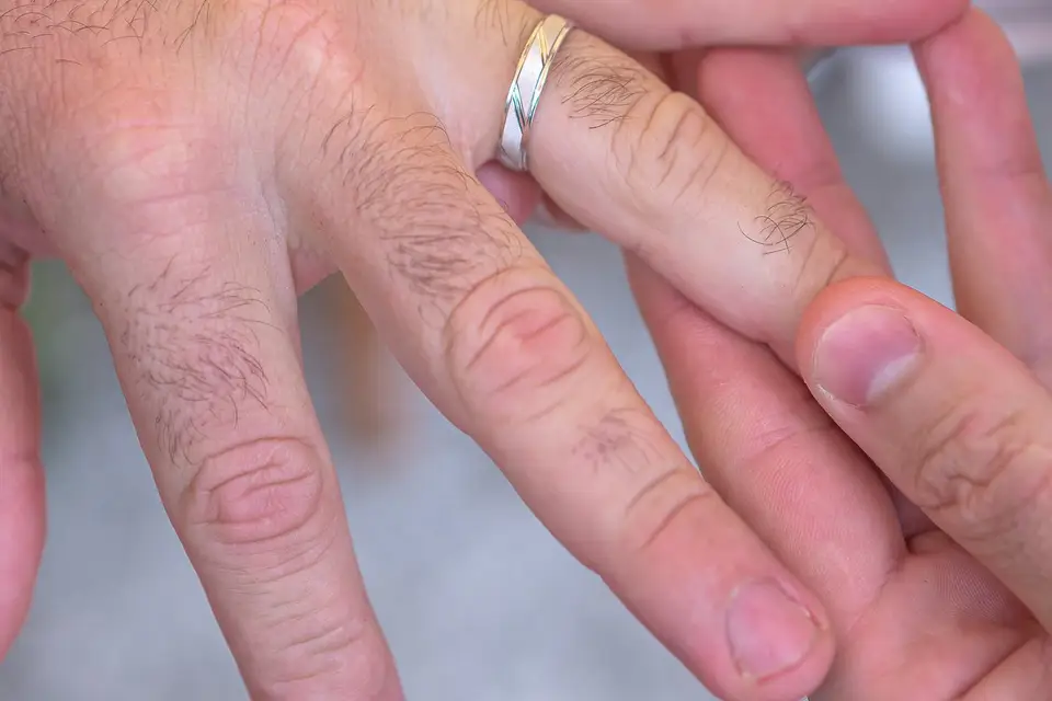 RLDigiCom — photo 7