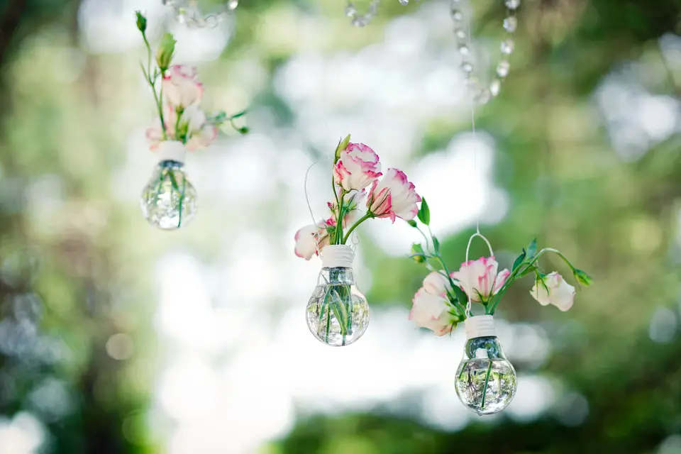 Belle Cérémonie — photo 5