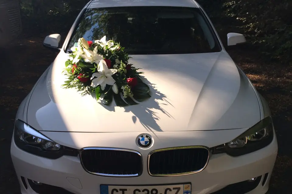 Wedding Cars Moselle — photo 6