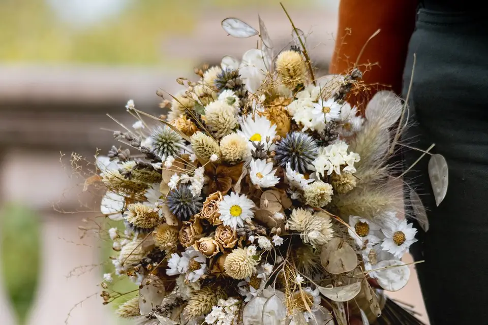 Graine De Vie — photo 4