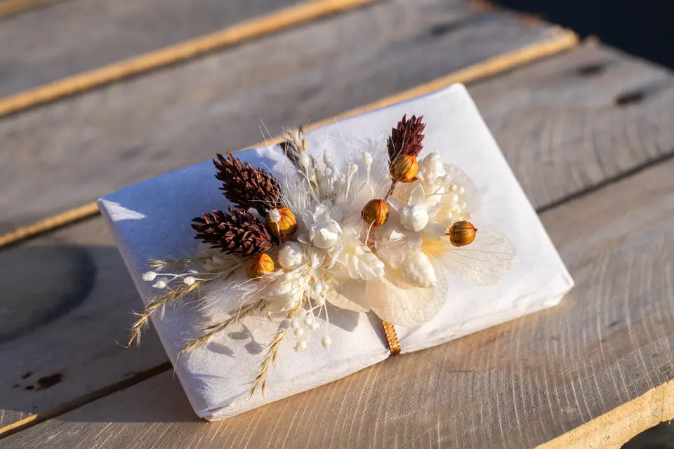 Graine De Vie — photo 3