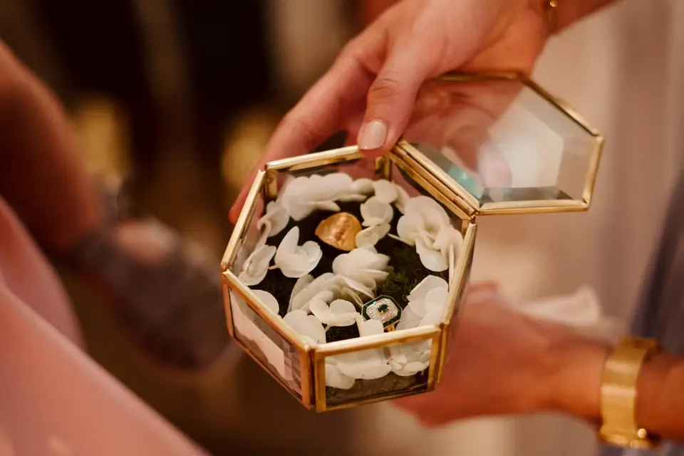 Graine De Vie — photo 8