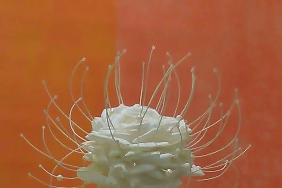 Oh! Artisan Fleuriste — photo 2