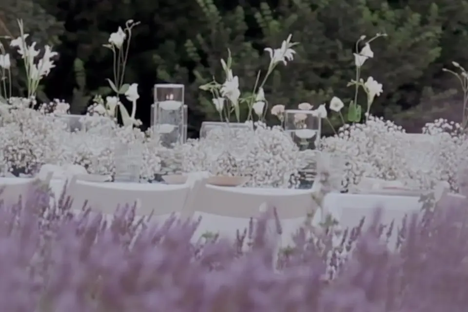 Terre Ugo — photo 6