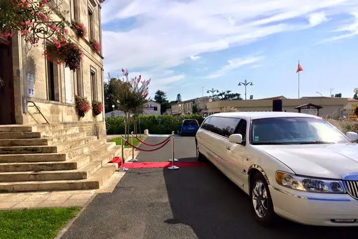 Médoc Limousine — photo 3