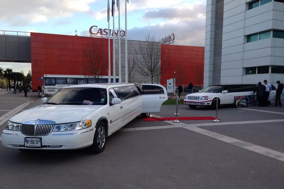 Médoc Limousine — photo 5