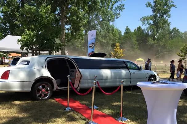 Médoc Limousine — photo 4