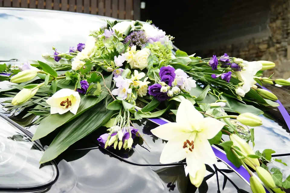 KatyKaty — photo 7