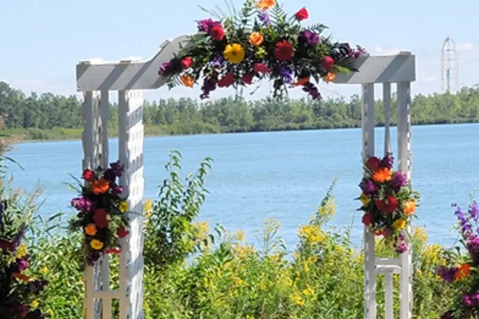 L'Art d'Aimer - Stars In The Eyes — photo 6