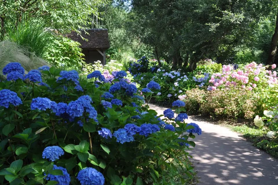 A.van Beek — photo 8