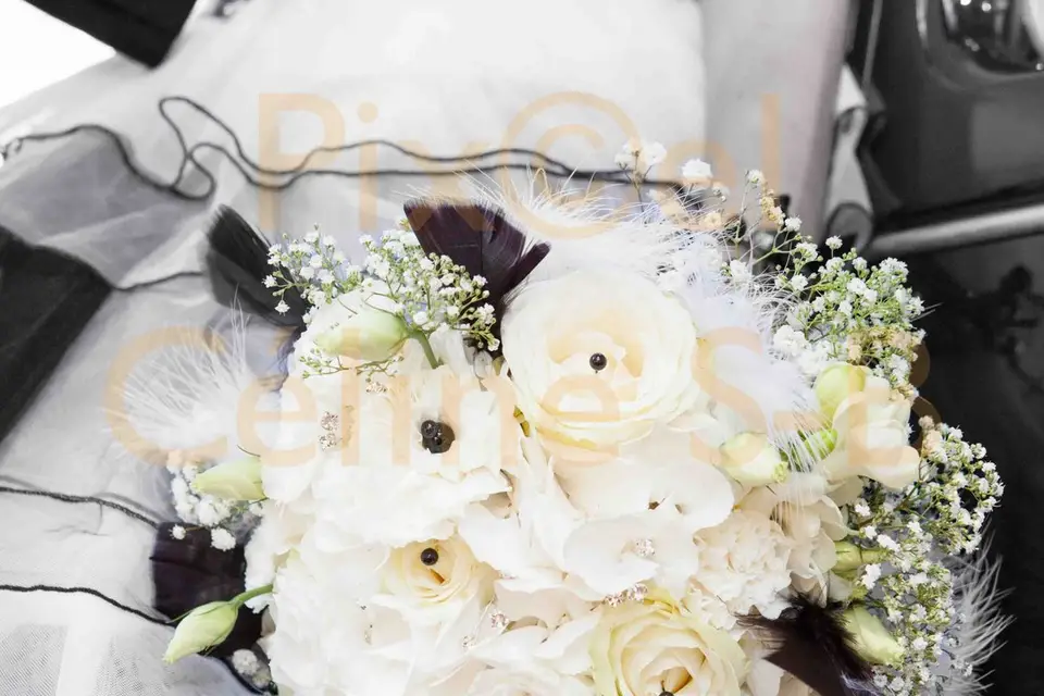 PixCel'Arts — photo 2