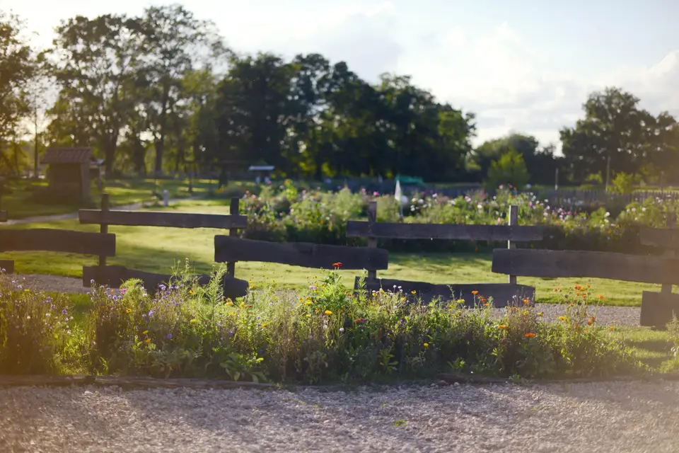 Les Brouilles — photo 9