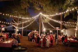 Guinguette — photo 4