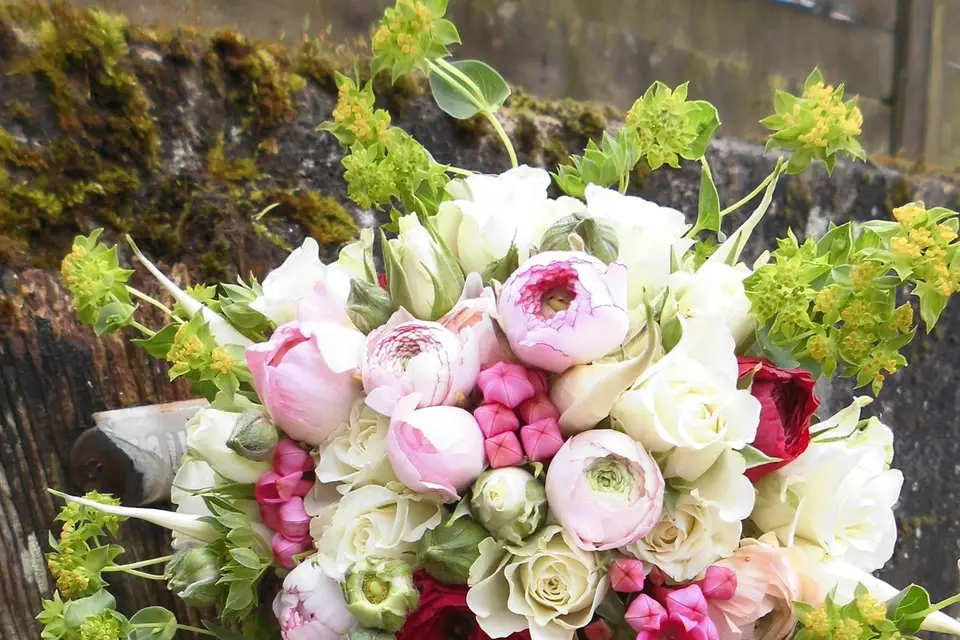 Hélène Supion - Création Végétale — photo 5