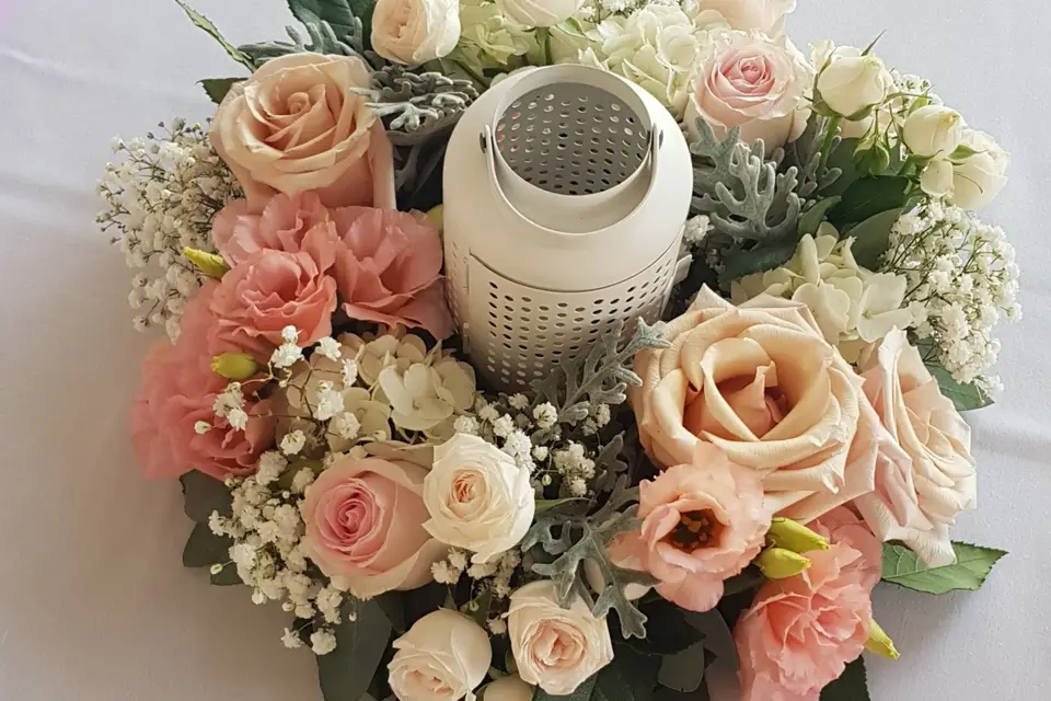 Mademoiselle Nature — photo 5