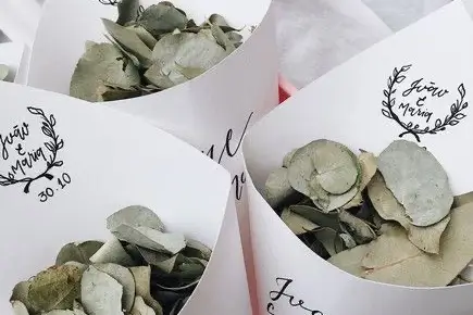 Klem Events — photo 4