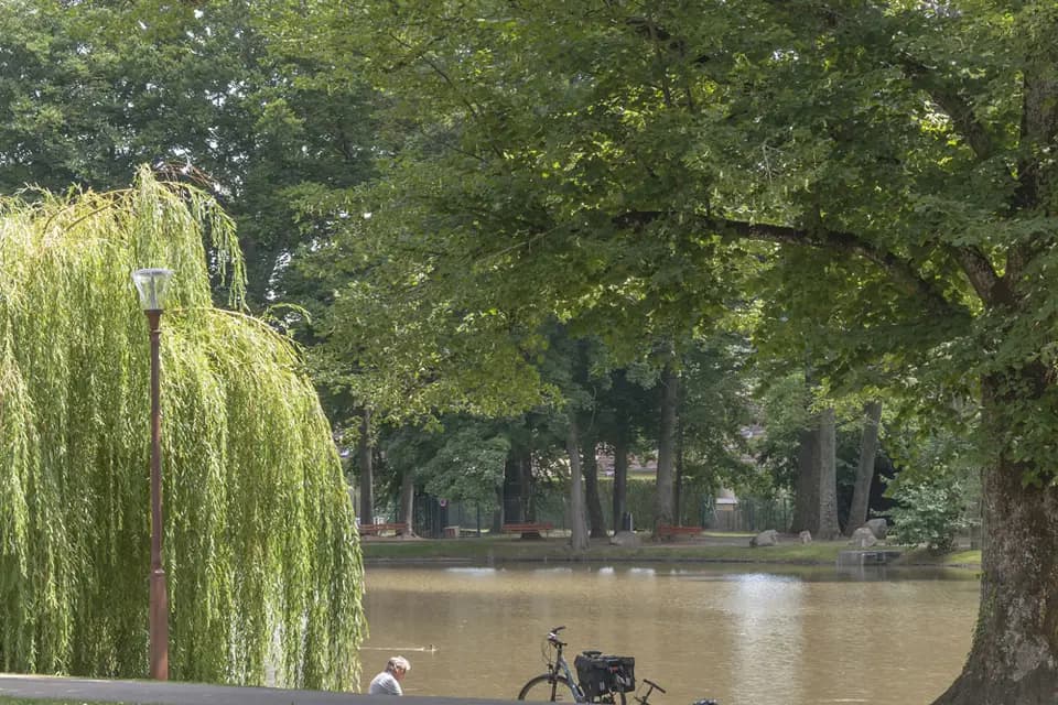 Verte Vallée — photo 5