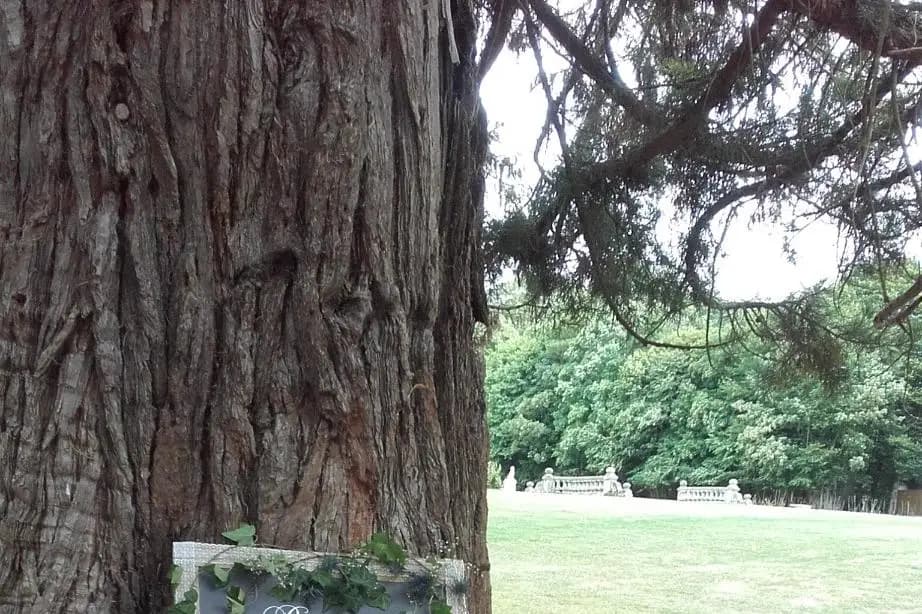 Un Jour Fleuri — photo 8