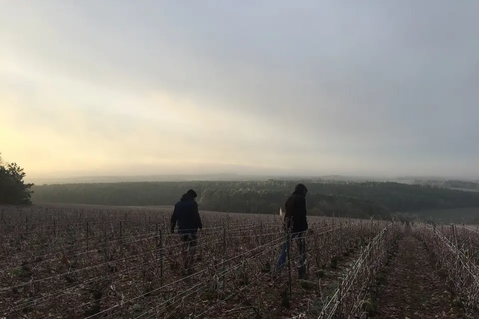 Vincent Lamoureux — photo 2