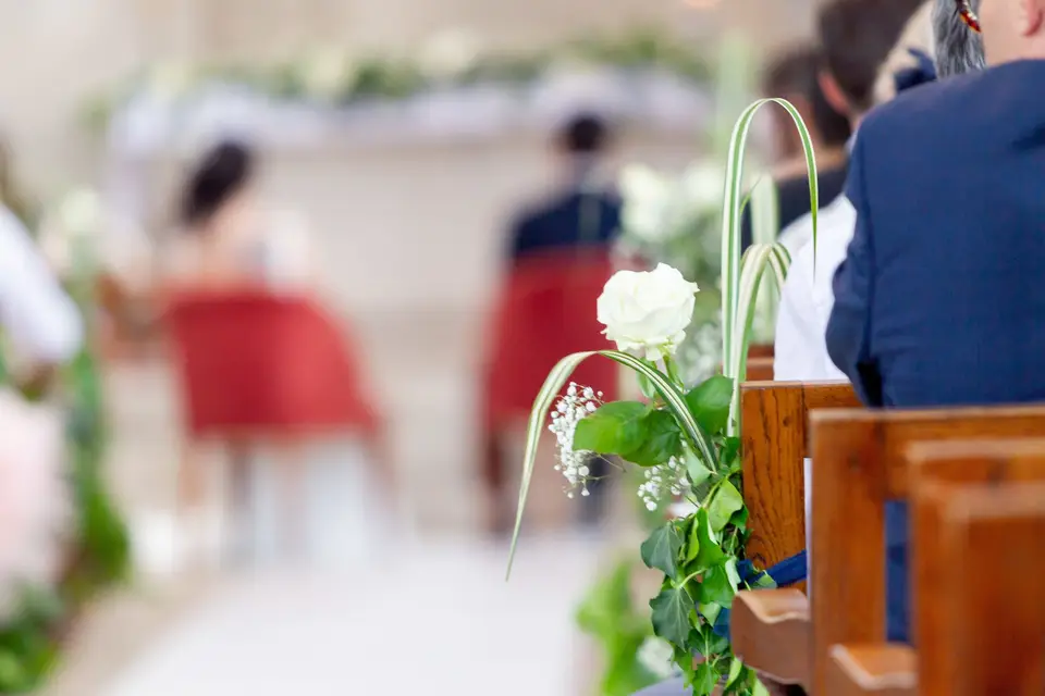 Cygnature Production — photo 5