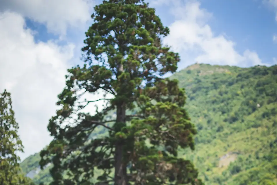 David Greffe Photographe — photo 8