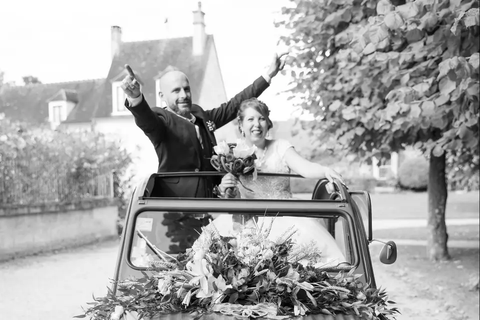 DV Image — photo 2