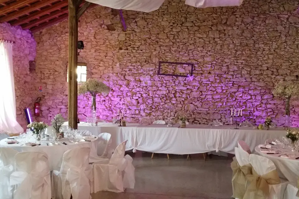 Phillias — photo 5