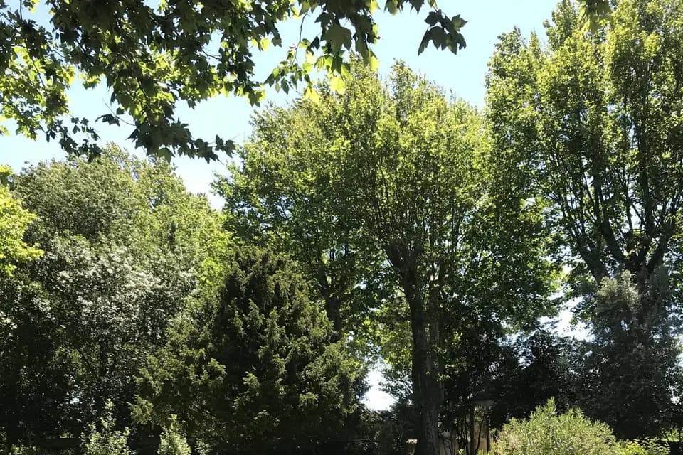 Château de Laprade — photo 5