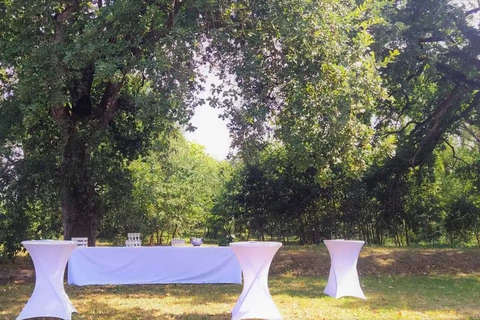 La Fumade Réception — photo 1