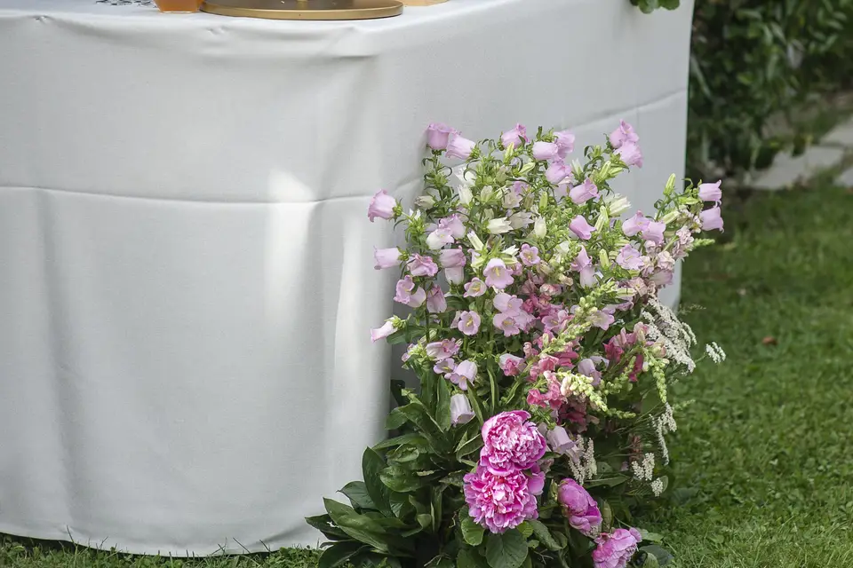 Alicevenement — photo 7