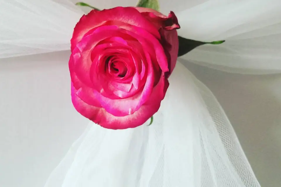 Rose & Lys — photo 3