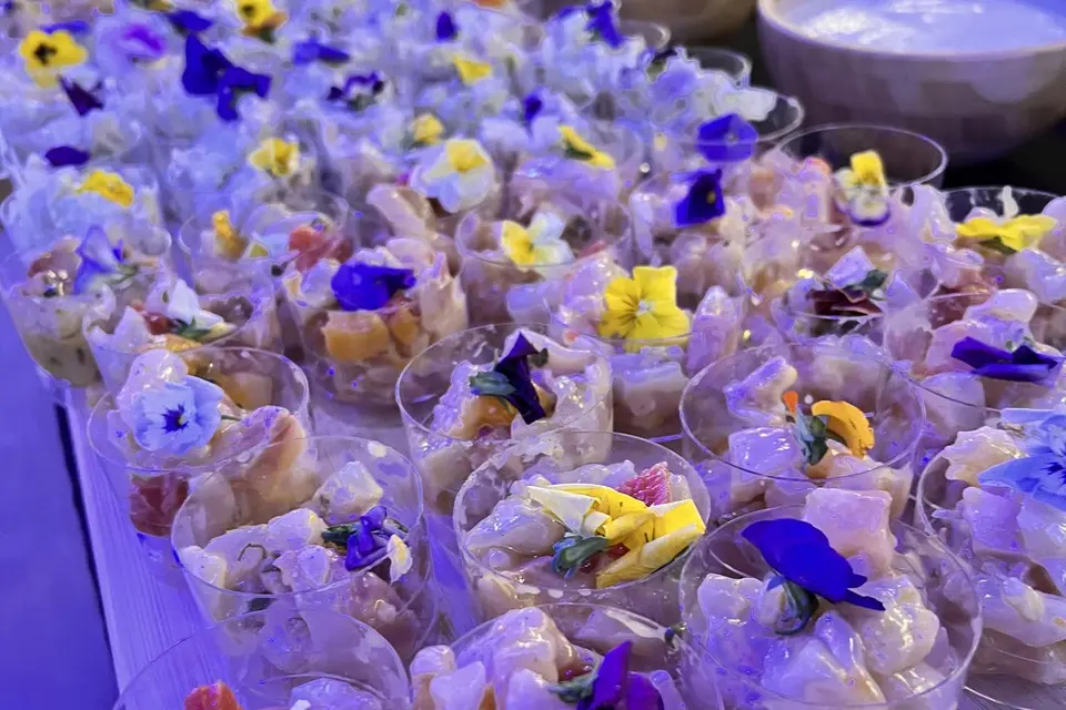 Zoa Quality — photo 1