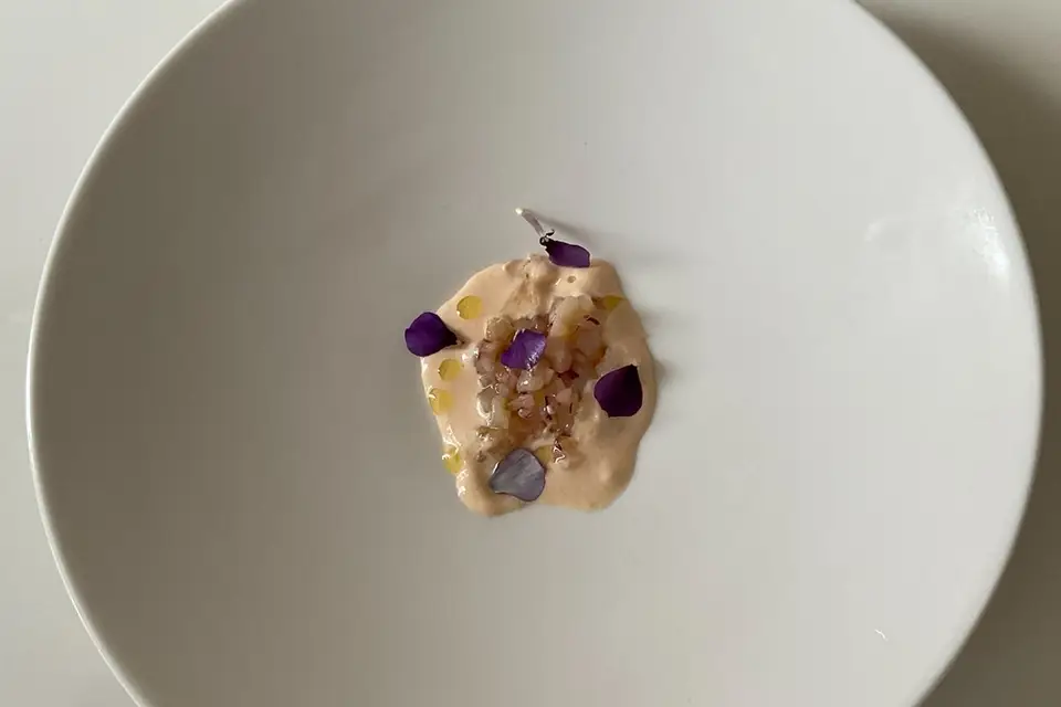 Zoa Quality — photo 4