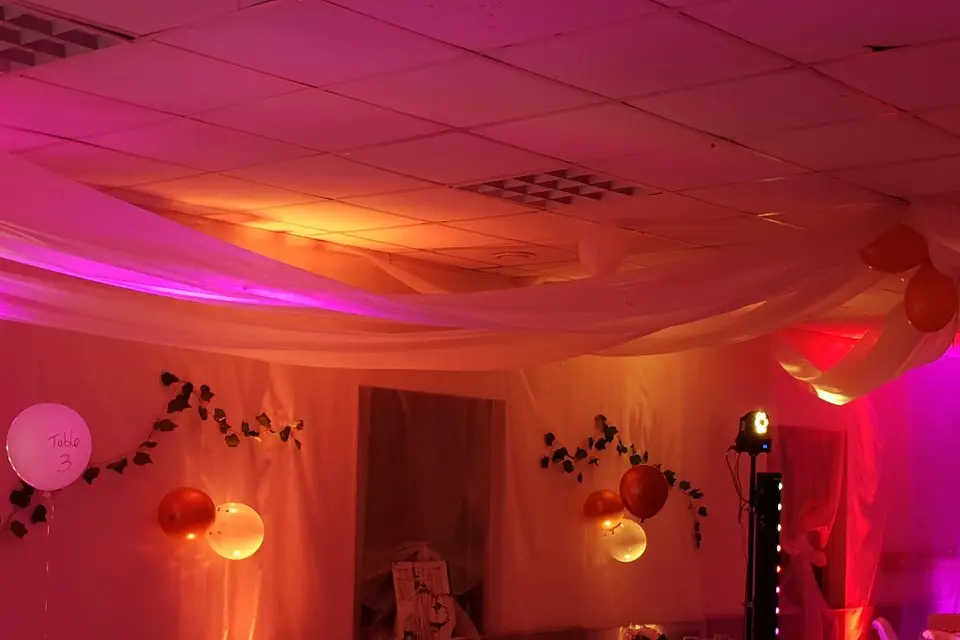 Djart Evenements — photo 6